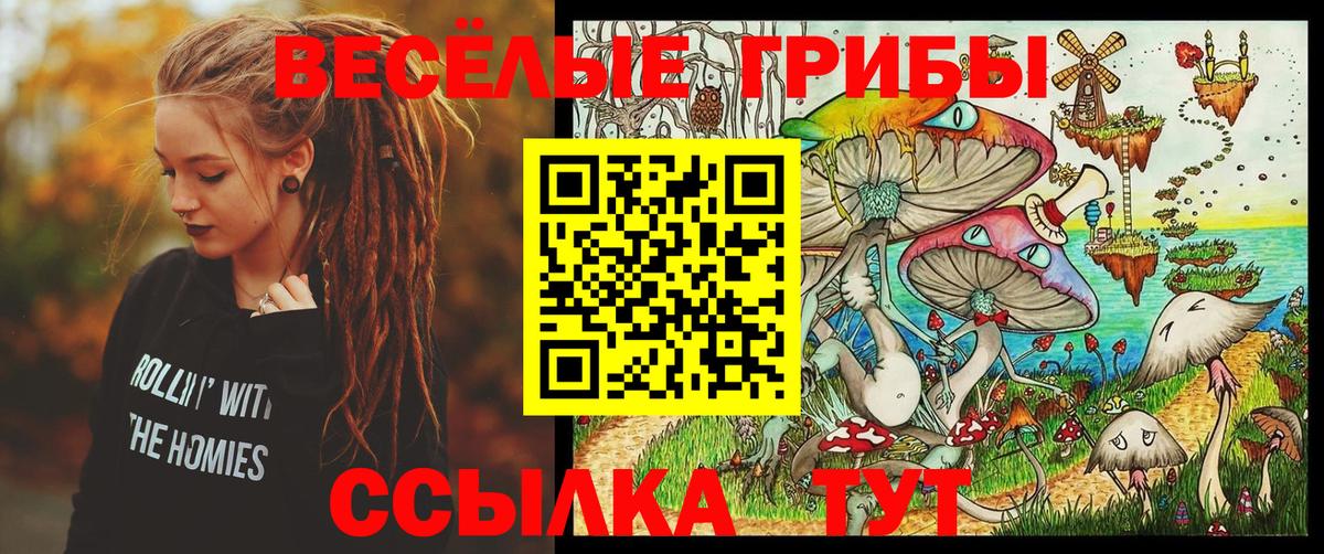 Галлюциногенные грибы мицелий  Вход с VPN  Галлюциногенные грибы Cubensis  Прокопьевск 
